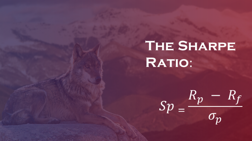 Measuring a risk-adjusted investment portfolio with the Sharpe ratio